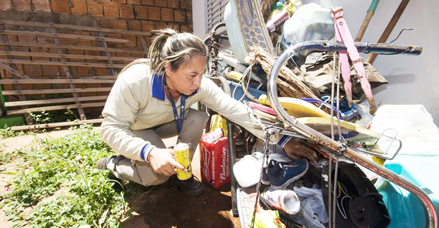 Combate a dengue
