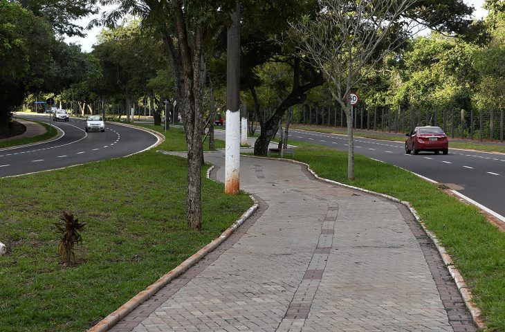 Projeto Amigos do Parque proporciona diversão e exercícios ao ar livre no fim de semana
