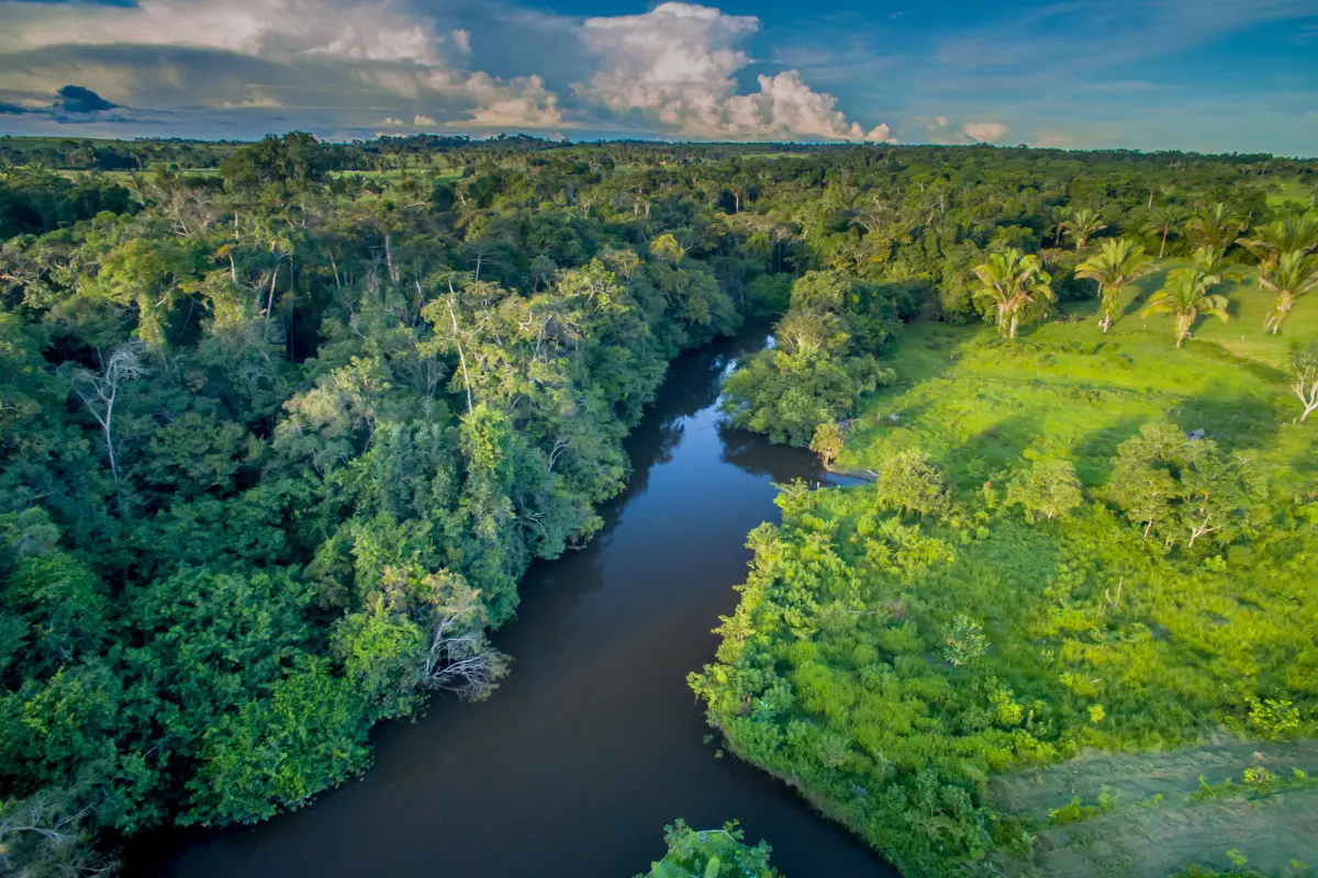 Amazônia.