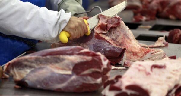 Abates de bovinos cresceram 25% este ano em comparação ao ano passado
