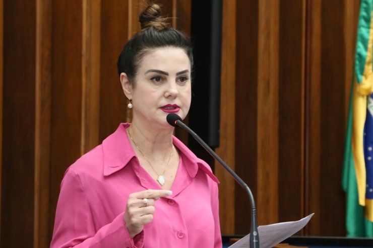 Deputada Mara Caseiro