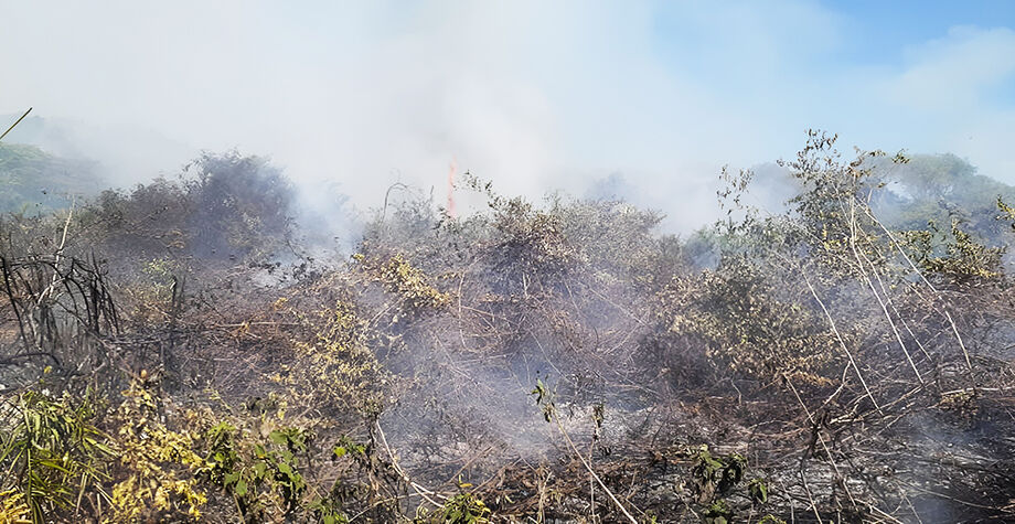 Queimadas no Pantanal deram uma trégua