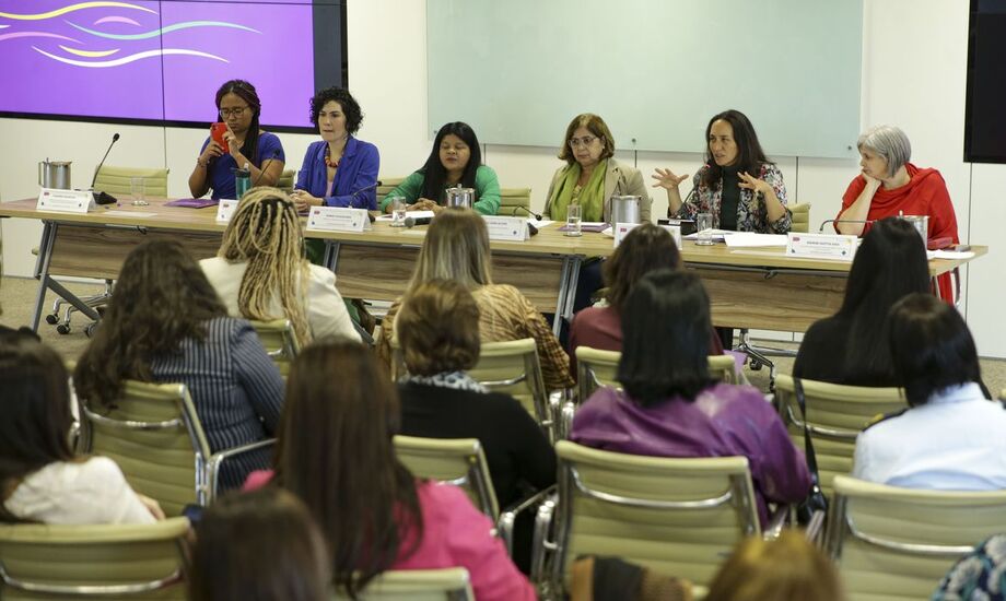 1º Encontro Nacional das Casas da Mulher Brasileira.