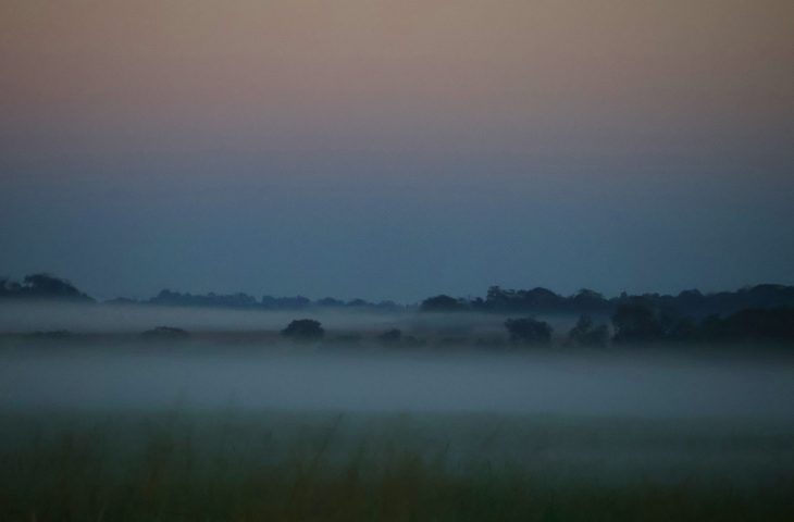 Geada em Mato Grosso do Sul