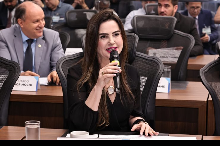 Deputada estadual, Mara Caseiro.