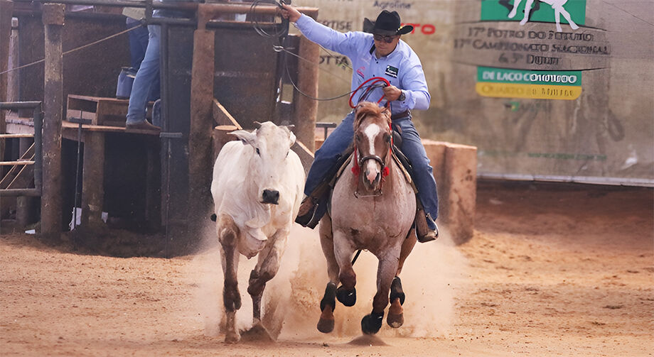 As competições equestres do Quarto de Milha acontecem no Parque do Peão (CLC) até o dia 3 de setembro