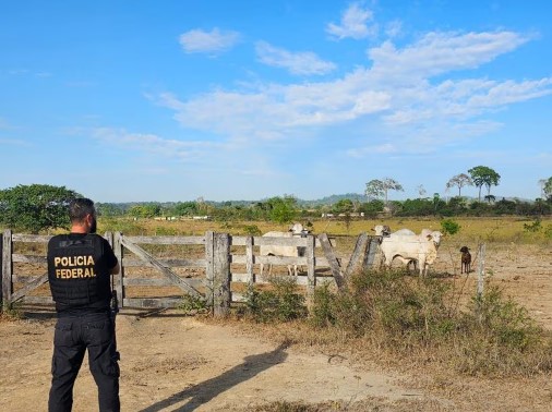 Operação Retomada prende maior devastador da Amazônia já identificado