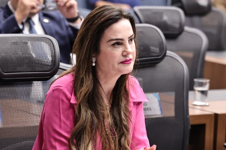 A deputada estadual Mara Caseiro (PSDB)