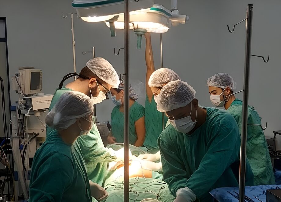 Transplante em MS