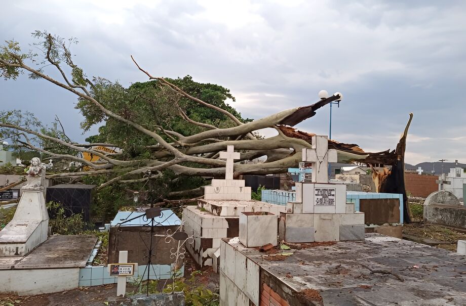 Árvore caiu em cemitério de Corumbá