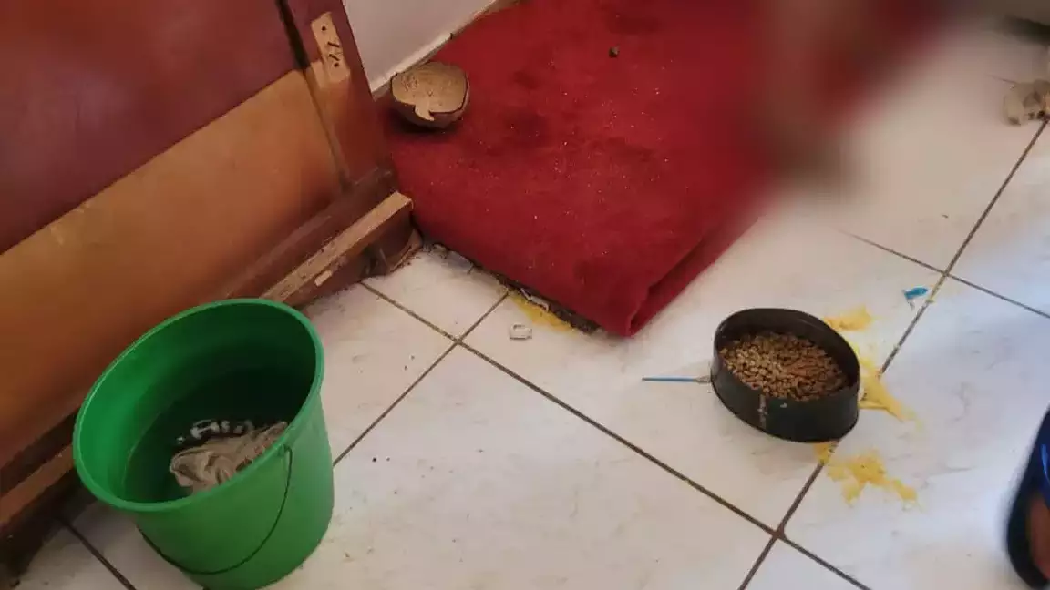 Pote com ração e balde no quarto onde crianças ficavam presas
