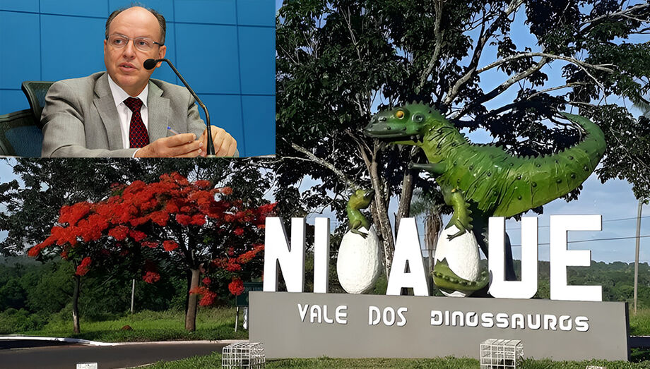 A proposta é do deputado Mochi