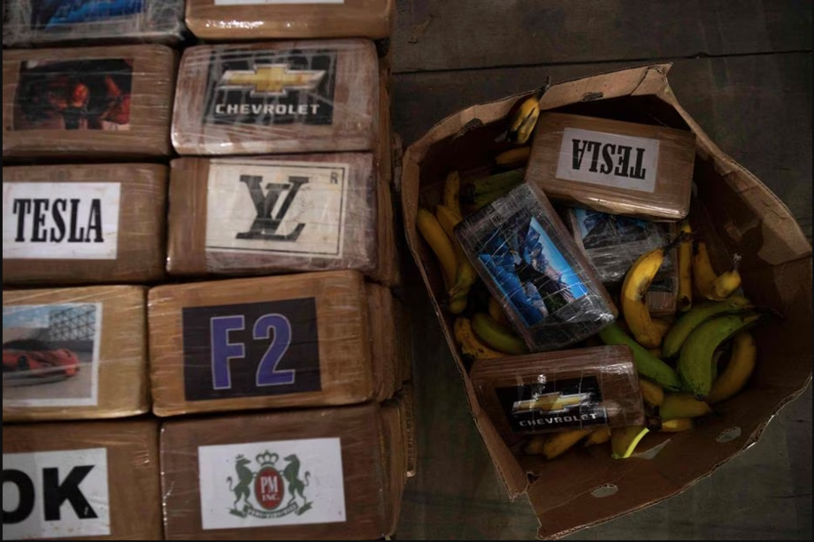 Cartéis equatorianos usam indústria da banana para traficar cocaína