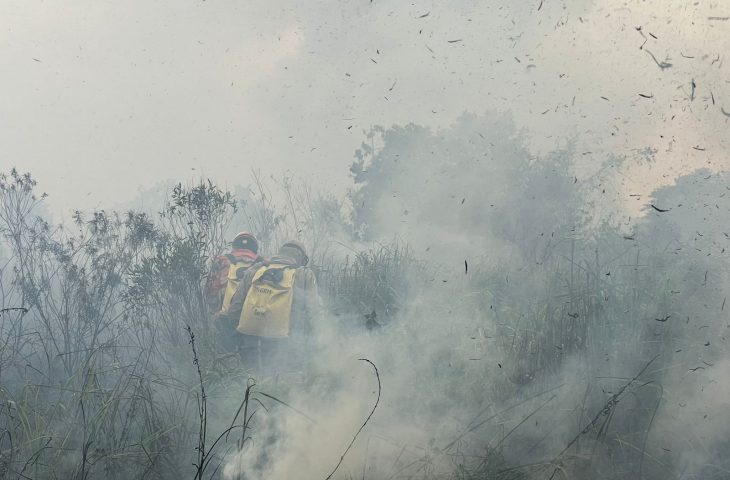 Bombeiros controlam incêndio florestal em Bonito