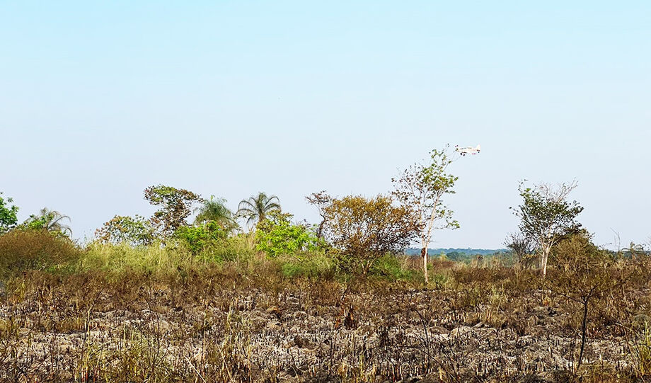Incêndio no Pantanal