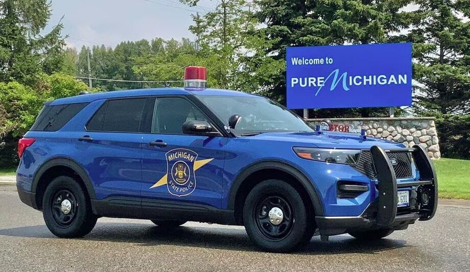 Segundo a polícia estadual do Michigan, criança estava dormindo escorada em um dos cachorros, usando-o como um travesseiro peludo (foto ilustrativa).
