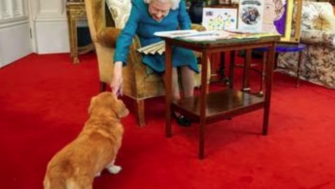 Rainha Elizabeth II com seu cachorro da raça Corgi.