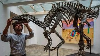 Barry, como foi batizado o dinossauro, deve arrecadar até 1,2 milhão de euros na venda que será realizada em Paris.