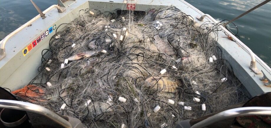 Policia apreende rede de pesca com 60 kg de peixe