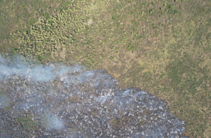 Incêndio florestal no Pantanal