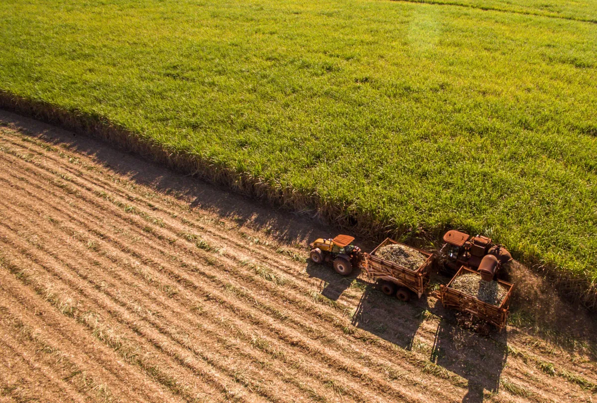 Lupion: Vamos regular mercado voluntário de carbono pela Câmara dos Deputados, incluindo agro