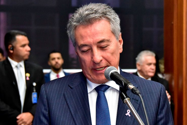 Conforme dados, há quase 185 mil animais abandonados ou resgatados após maus-tratos sob a tutela de organizações não governamentais ou de grupos de protetores