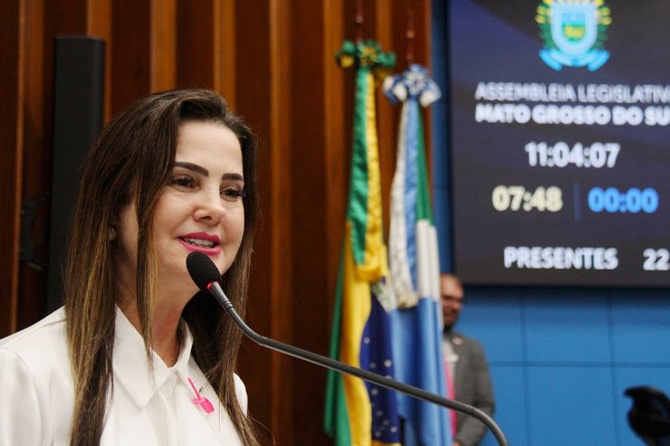 A audiência pública, proposta pela deputada Mara Caseiro, será às 13h30 no Plenarinho Nelito Câmara