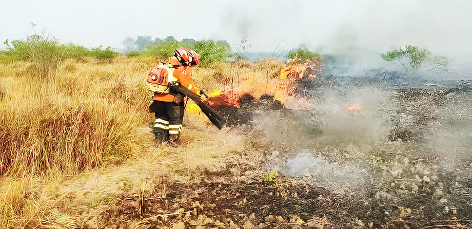 Incêndio no Pantanal