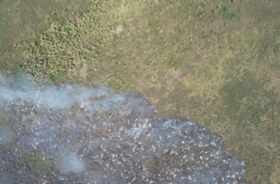 Incêndio no Pantanal