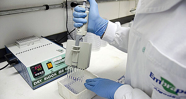 O estudo utiliza as citações da base de dados Scopus para avaliar o impacto dos pesquisadores ao longo de suas carreiras (de 1996 até o final de 2022) e durante todo o ano passado