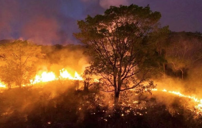 Incêndio no Pantanal em área próxima a refúgio das onças.