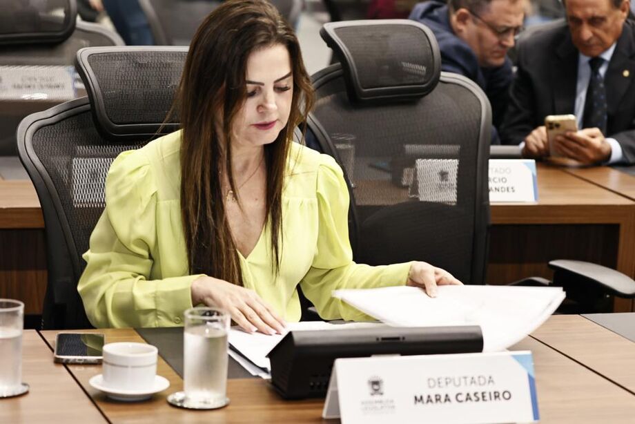 A deputada estadual Mara Caseiro (PSDB)