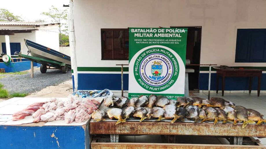 Pescador é multado após apresentar pescados descaracterizados em Porto Murtinho