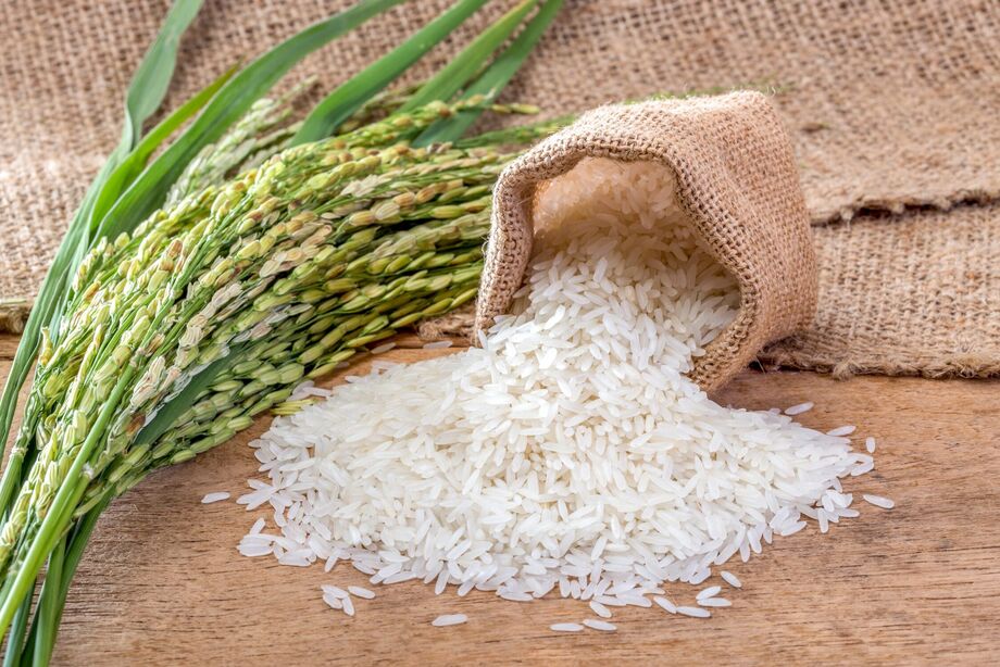 Com custo elevado e preços em queda, produtores gaúchos reduzem plantio do arroz.