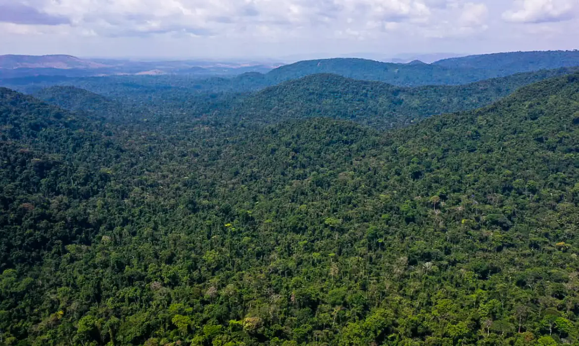Amazônia