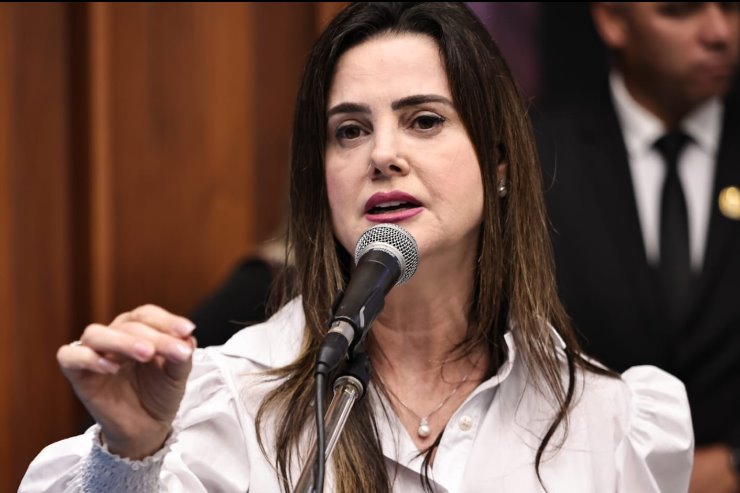 Deputada Mara Caseiro