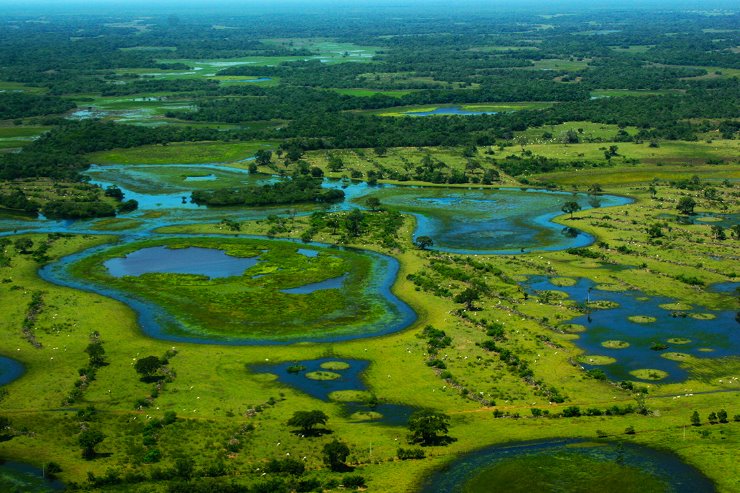 A importância da preservação ambiental passa por Mato Grosso do Sul, passa pelo nosso Pantanal