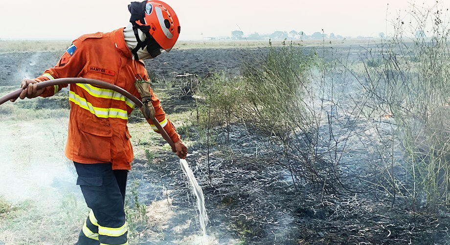 Bombeiros combatem incêndio no Pantanal divisa com MT