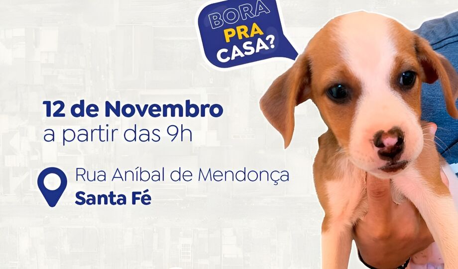Feira de adoção aocntece neste fim de semana