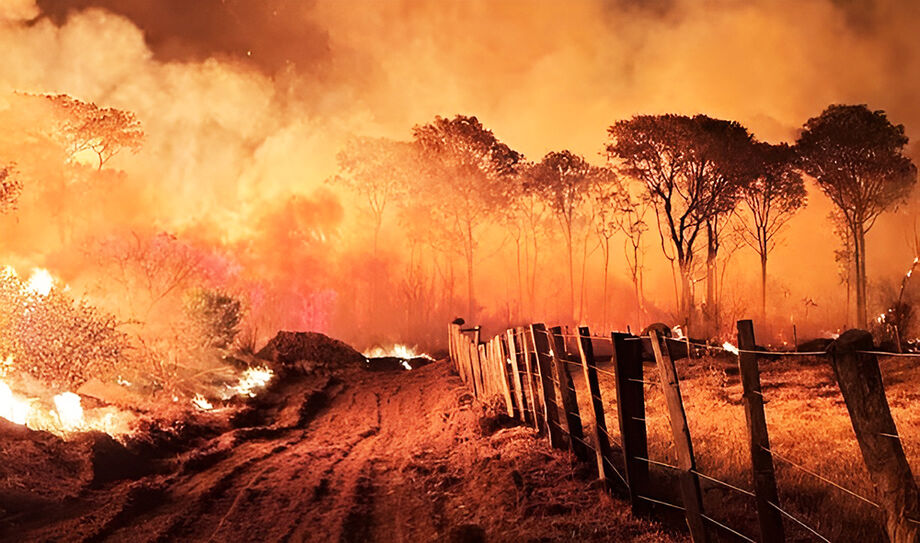 Incêndio no Pantanal