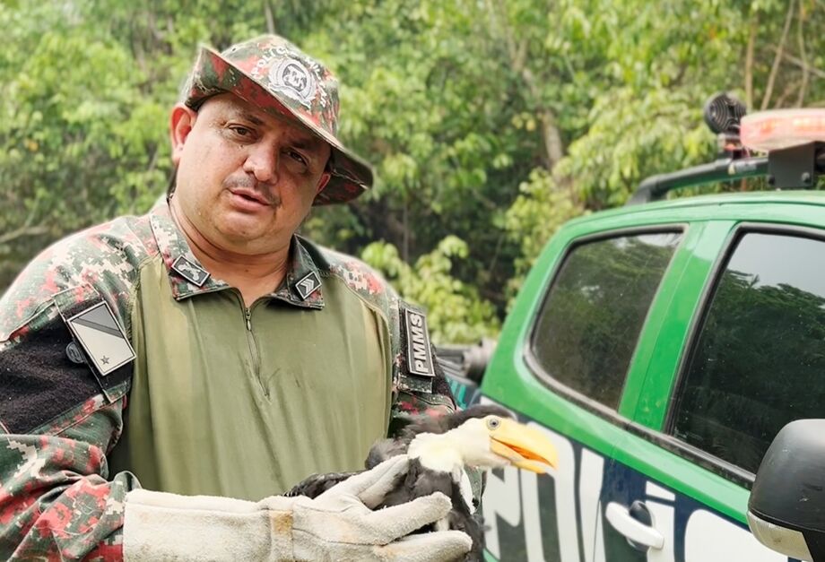 O resgate ocorreu em uma área do Pantanal Matogrossense atualmente atingida por incêndios florestais.