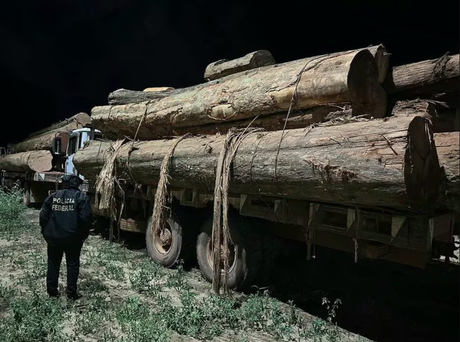 PF apreende caminhões carregados de madeira retirada de terras indígenas, em Rondônia.