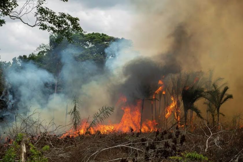 Árvores cortadas são queimadas na floresta amazônica no município de Bujaru, interior do estado do Pará, próximo à Rod. Perna Leste