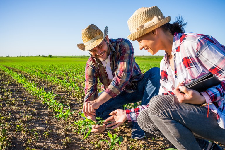 Agricultura familiar de inicia entrega de 540,7 toneladas de alimentos pelo PAA/CDS
