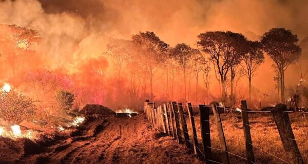 Incêndio no Pantanal