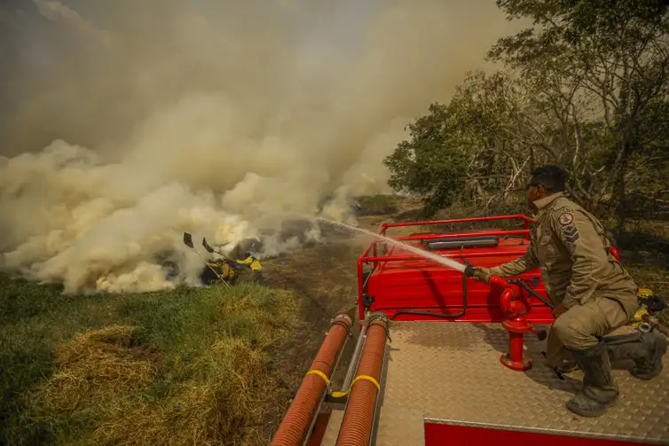 Incêndio no Pantanal