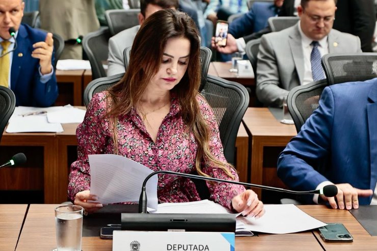Mara Caseiro pede melhorias de trecho entre Juti e Vicentina buscando a segurança da população