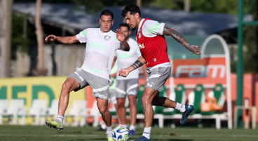 Palmeiras enfrenta o Fluminense