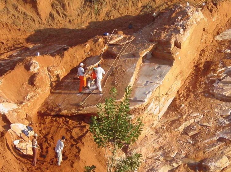 Nova espécie de dinossauro que habitava o interior de SP é descoberta