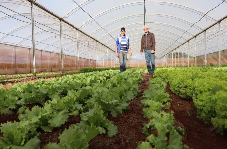 Fundect lança edital de extensão para agricultores familiares, povos originários e comunidades